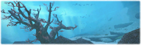 The Ruby Sea Guildleve img.png