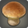 Gil bun icon1.png